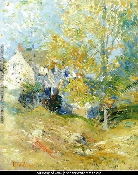 The Artist's House Through the Trees