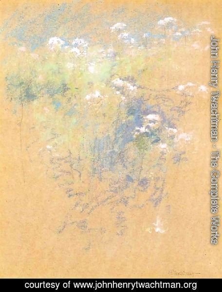 John Henry Twachtman - Flowers3