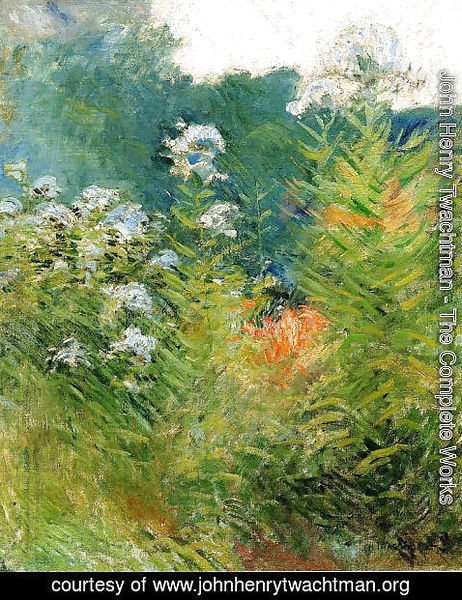 John Henry Twachtman - Wildflowers